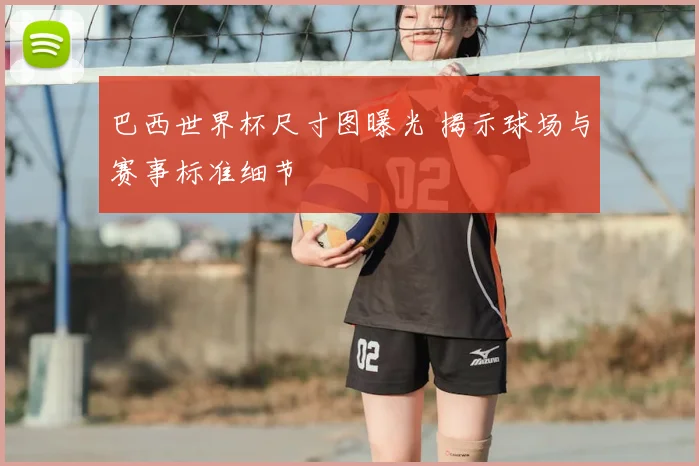 巴西世界杯尺寸图曝光 揭示球场与赛事标准细节