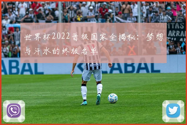 世界杯2022晋级国家全揭秘:梦想与汗水的终极名单