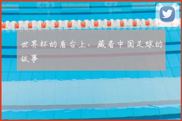 世界杯的看台上，藏着中国足球的故事