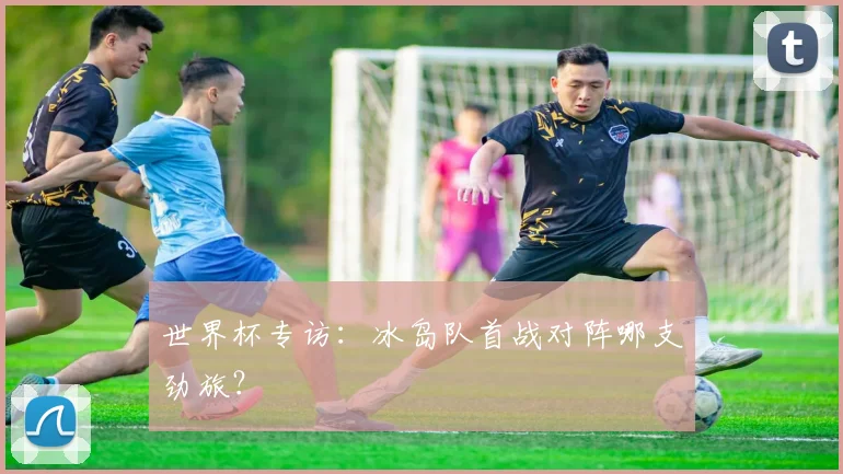 世界杯专访：冰岛队首战对阵哪支劲旅？
