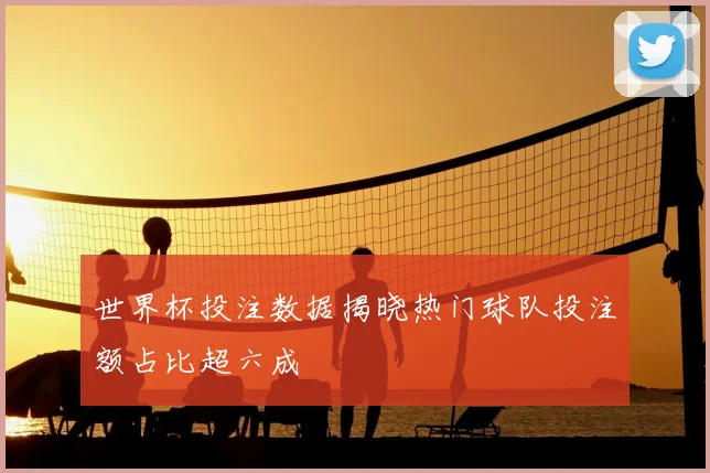 世界杯投注数据揭晓热门球队投注额占比超六成