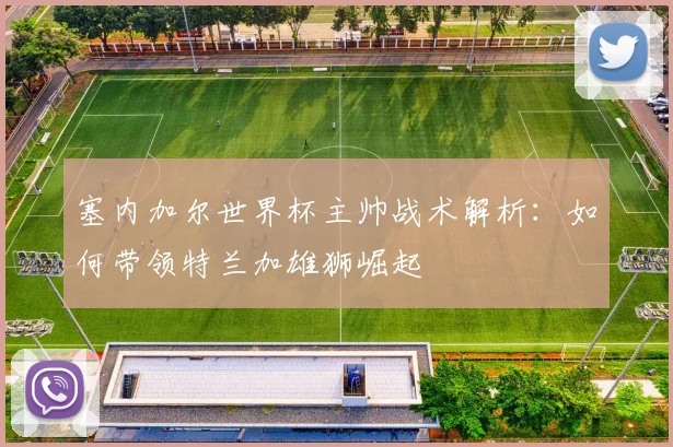 塞内加尔世界杯主帅战术解析:如何带领特兰加雄狮崛起