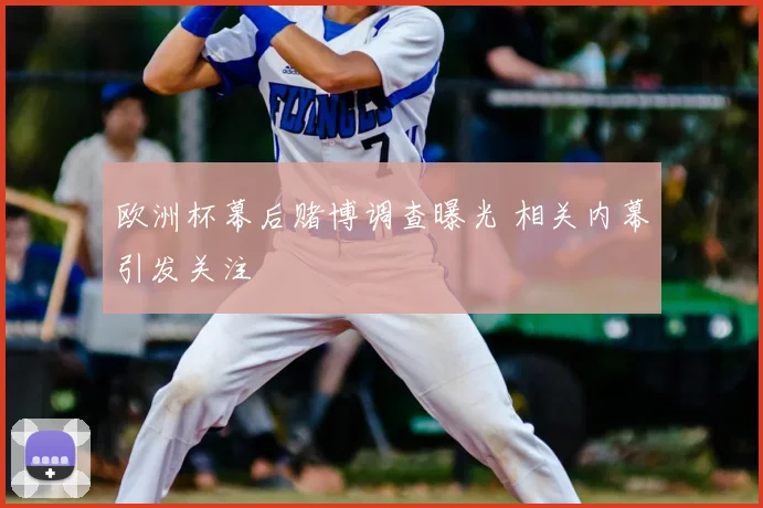 欧洲杯幕后赌博调查曝光 相关内幕引发关注