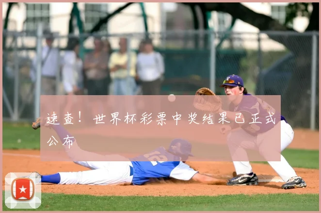 速查!世界杯彩票中奖结果已正式公布