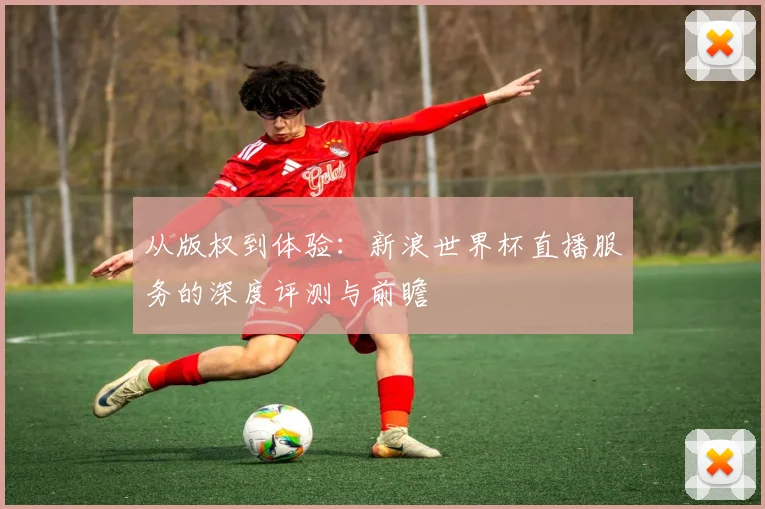 从版权到体验:新浪世界杯直播服务的深度评测与前瞻