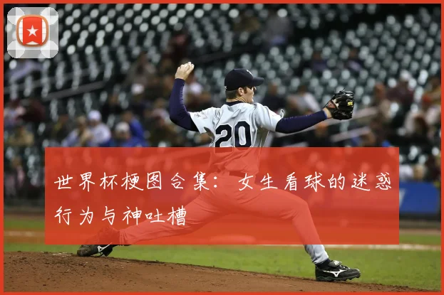 世界杯梗图合集:女生看球的迷惑行为与神吐槽