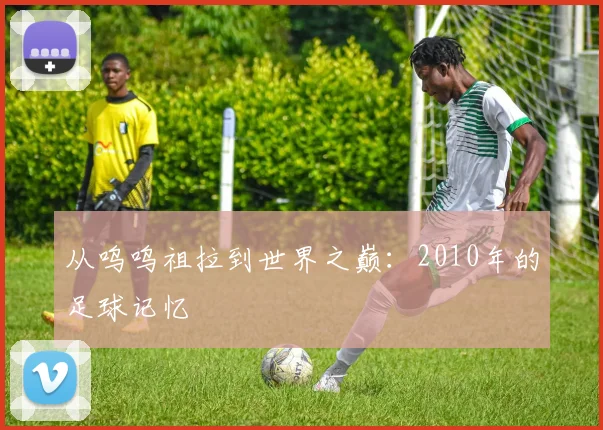 从呜呜祖拉到世界之巅:2010年的足球记忆