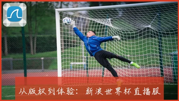 从版权到体验:新浪世界杯直播服务的深度评测与前瞻