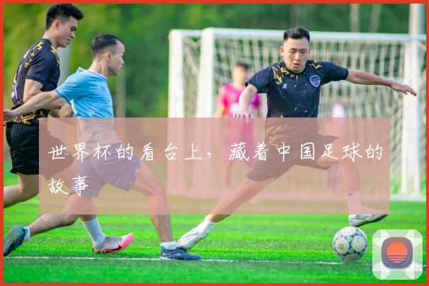 世界杯的看台上,藏着中国足球的故事