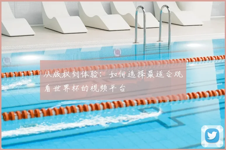 从版权到体验：如何选择最适合观看世界杯的视频平台