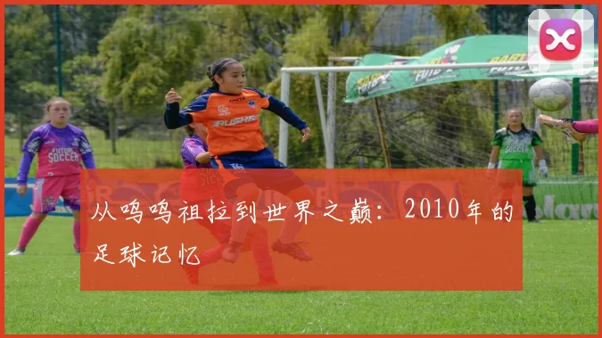 从呜呜祖拉到世界之巅:2010年的足球记忆